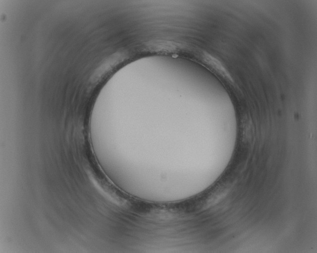 X0000067910538200604271920