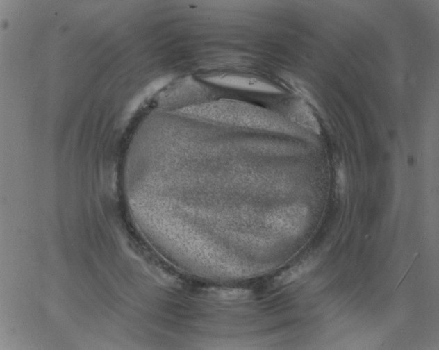 X0000067910539200604271920