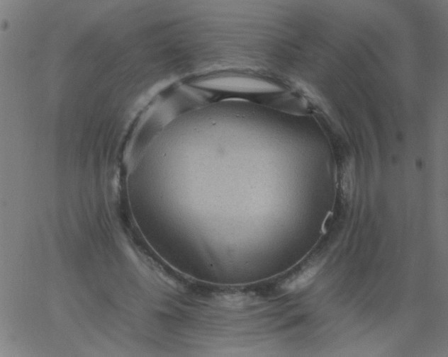 X0000067910540200604271920