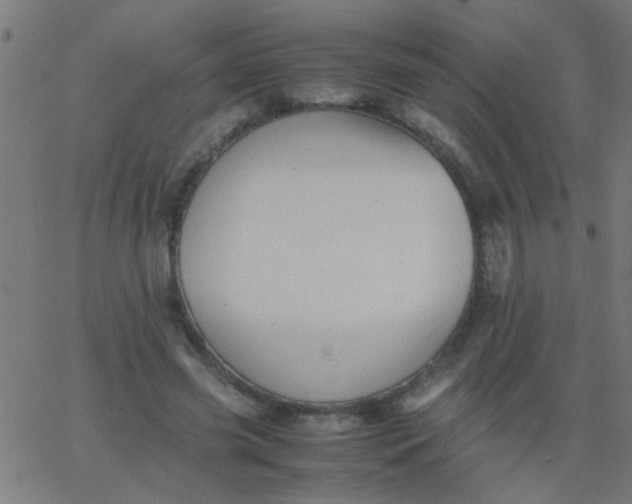 X0000067910541200604271920