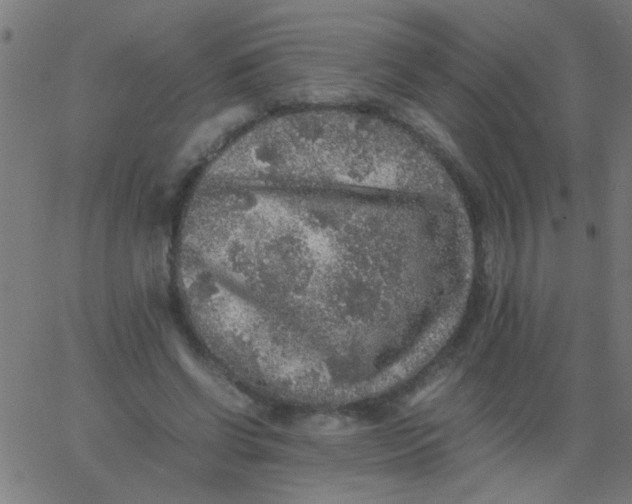 X0000067910542200604271920