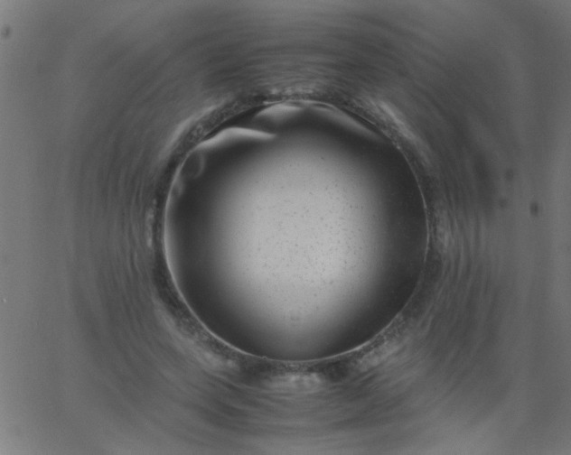 X0000067910543200604271920