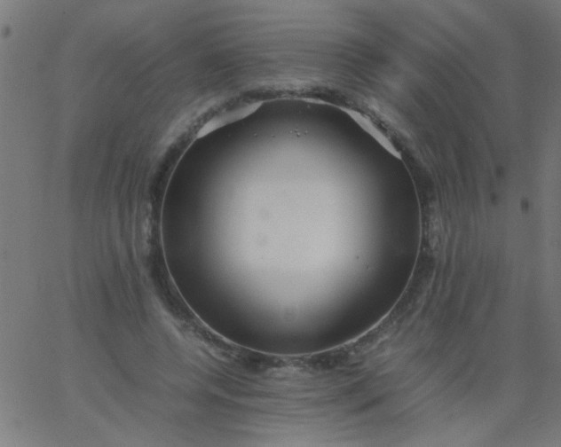 X0000067910544200604271920