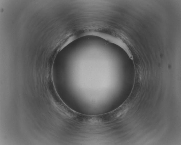 X0000067910546200604271920