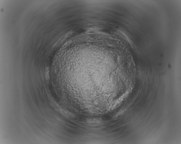 X0000067910549200604271920