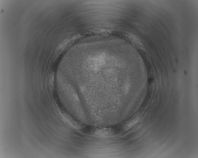 X0000067910550200604271920