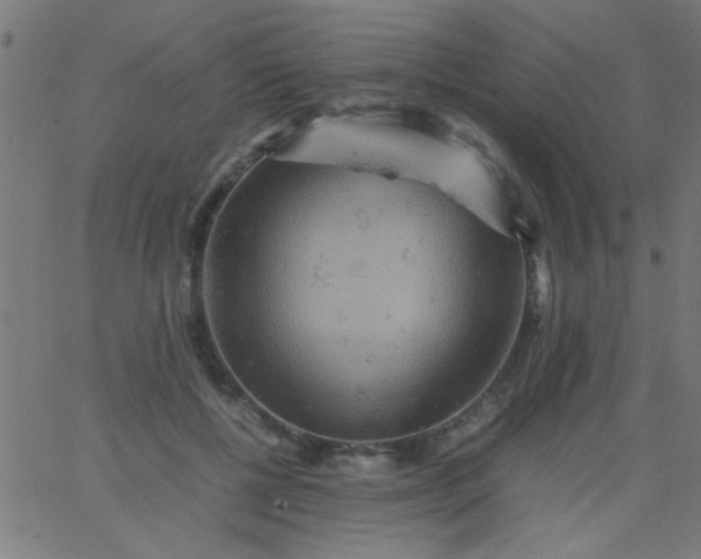 X0000067910552200604271920