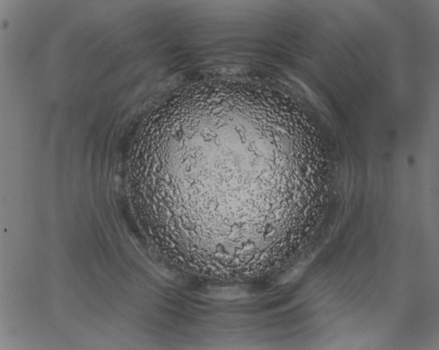 X0000067910553200604271920