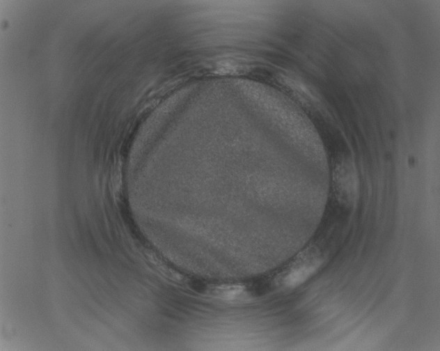 X0000067910554200604271920