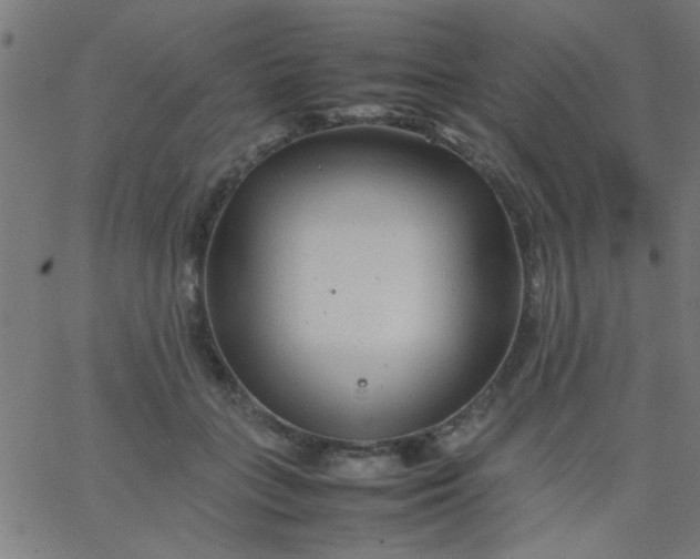 X0000067910555200604271920