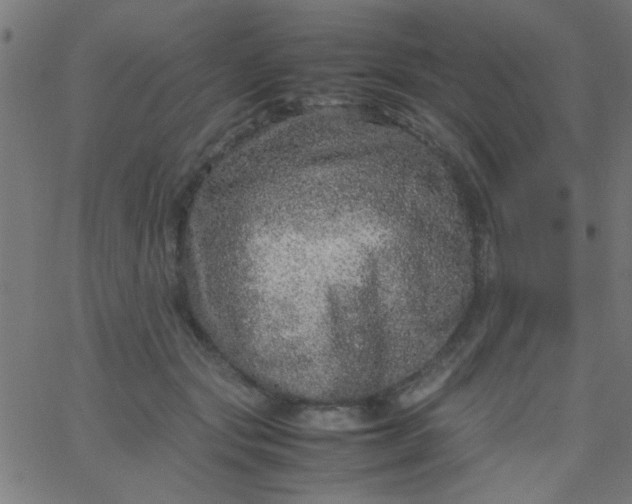 X0000067910557200604271920