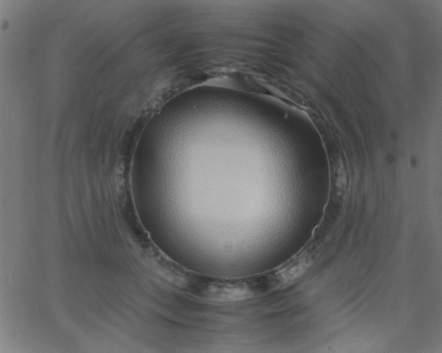 X0000067910559200604271920