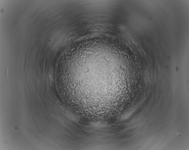 X0000067910561200604271920