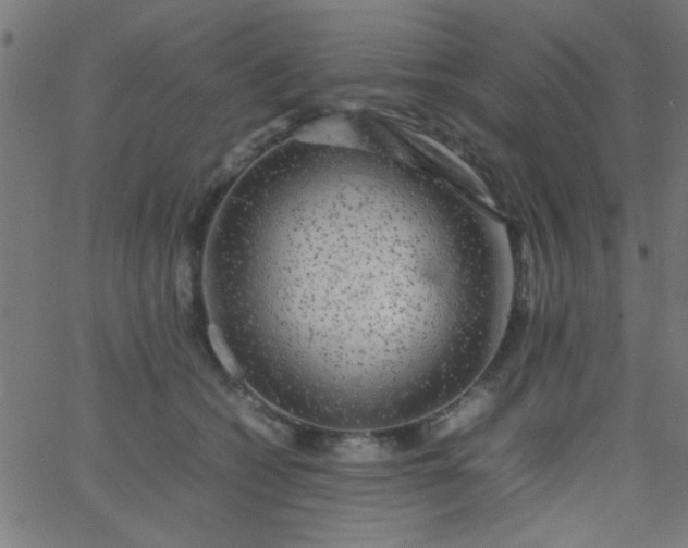 X0000067910562200604271920