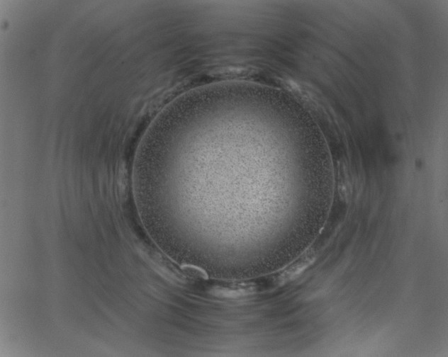 X0000067910563200604271920