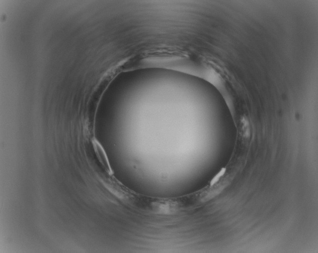 X0000067910564200604271920