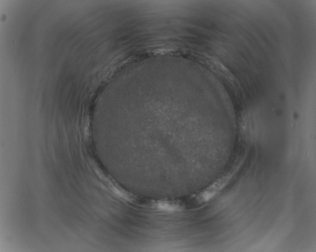 X0000067910565200604271920