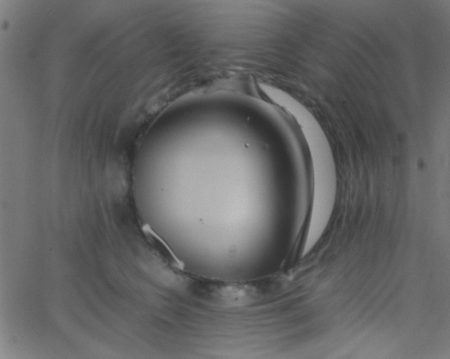 X0000067910566200604271920