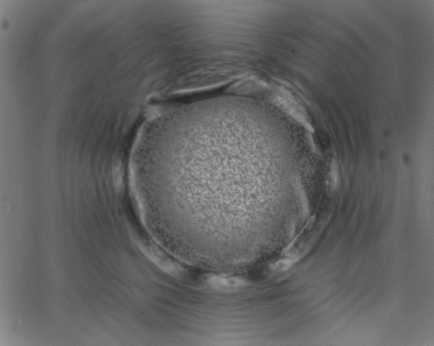 X0000067910568200604271921