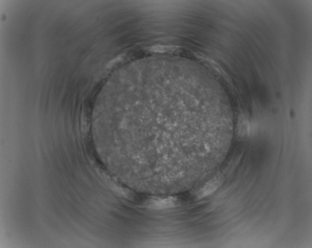 X0000067910569200604271921