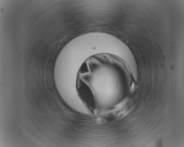 X0000067910570200604271921