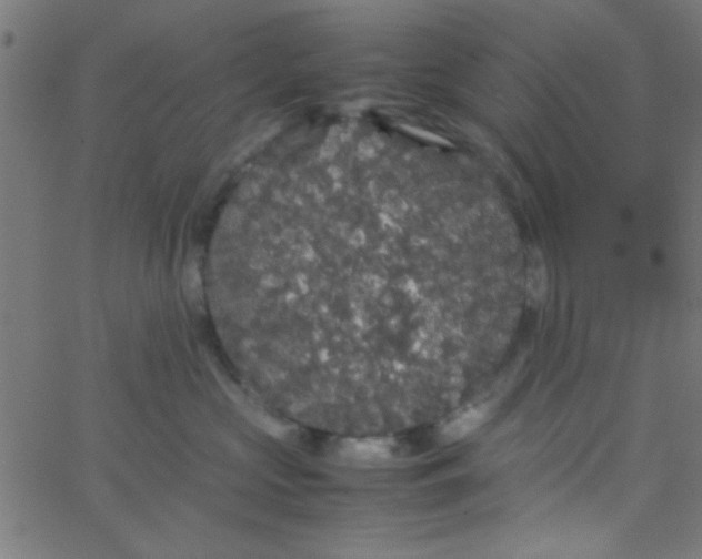 X0000067910573200604271921