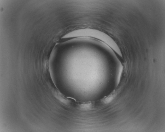 X0000067910574200604271921