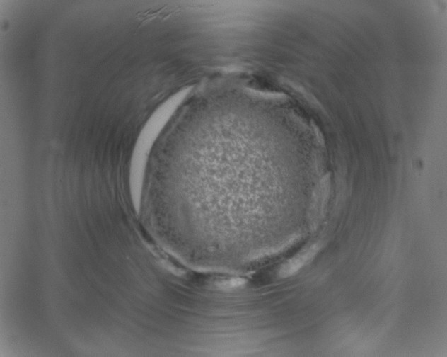 X0000067910576200604271921