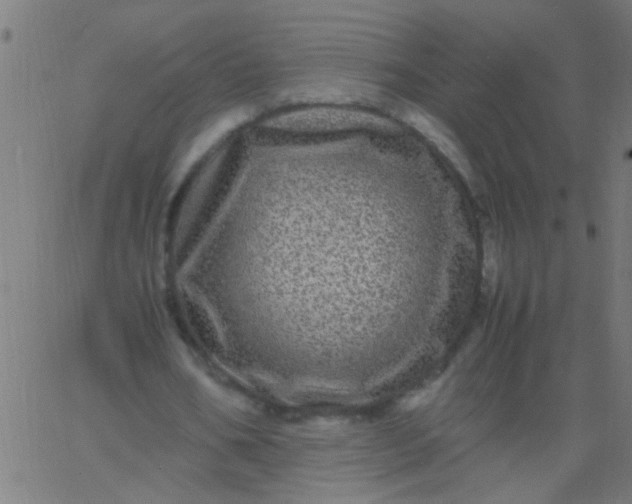 X0000067910578200604271920