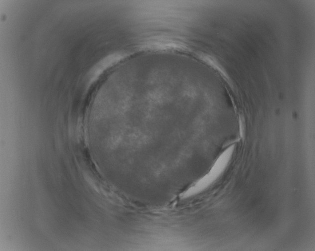 X0000067910579200604271920