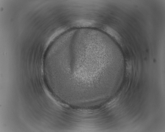 X0000067910582200604271920