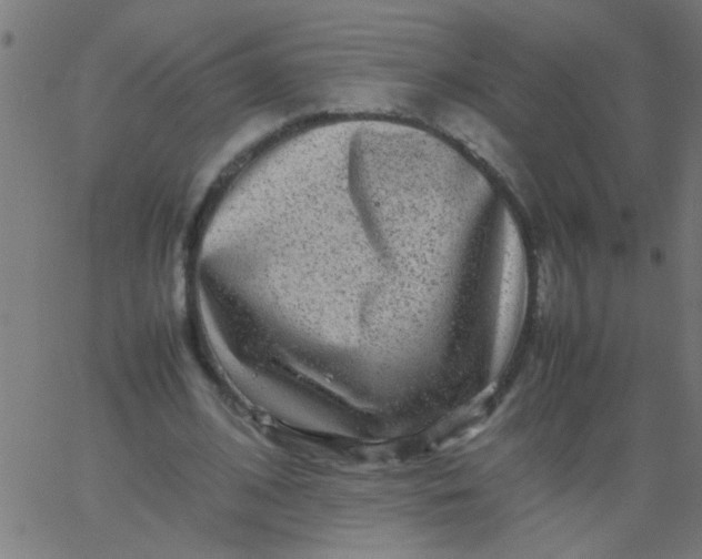 X0000067910584200604271920