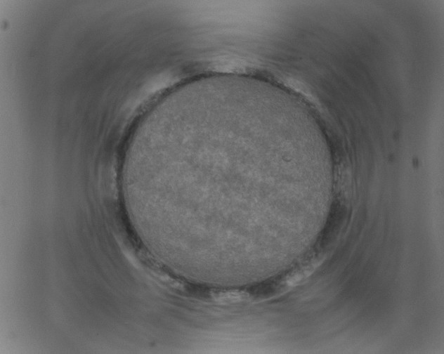 X0000067910587200604271920