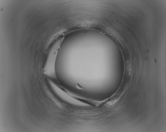 X0000067910589200604271920