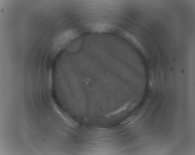 X0000067910590200604271920