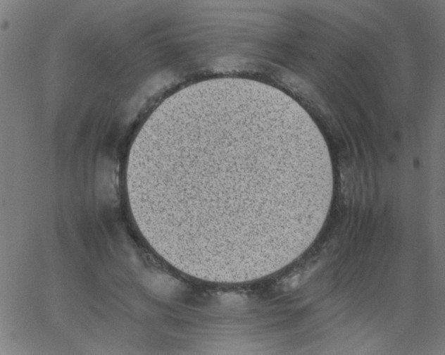 X0000067910592200604271920