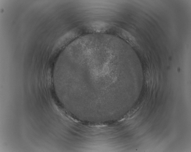 X0000067910594200604271920