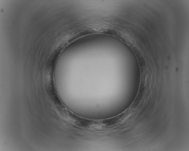 X0000067910595200604271920