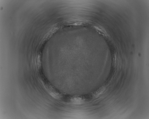 X0000067910598200604271920