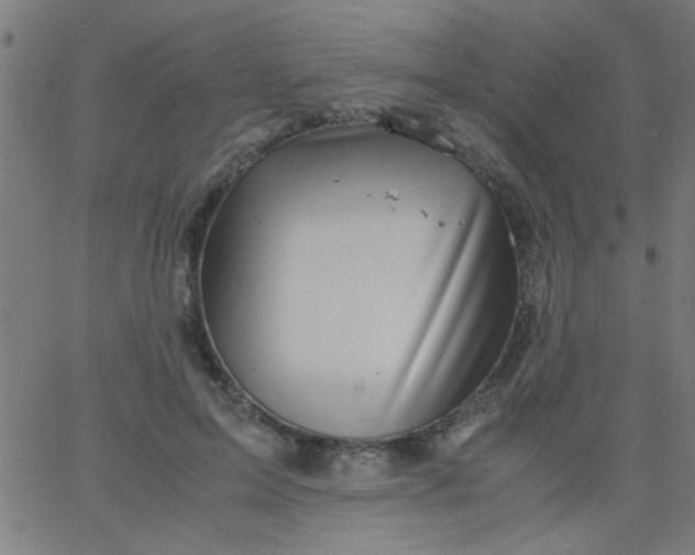 X0000067910599200604271919