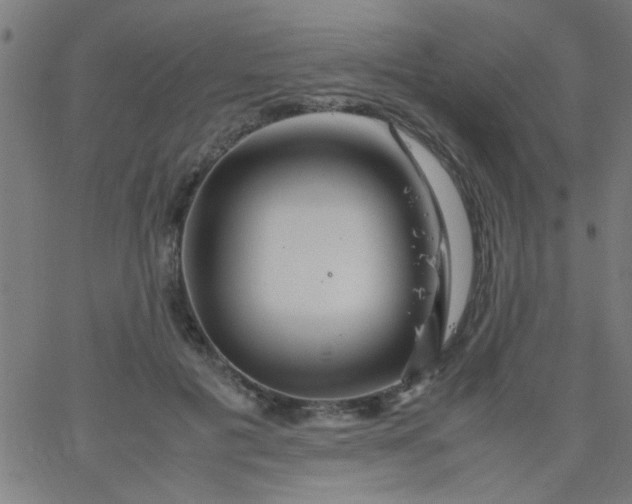 X0000067910601200604271919