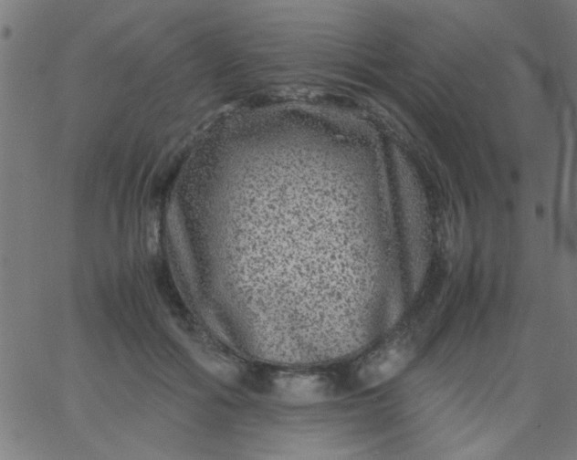 X0000067910602200604271919