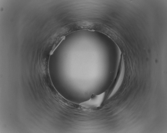 X0000067910604200604271919