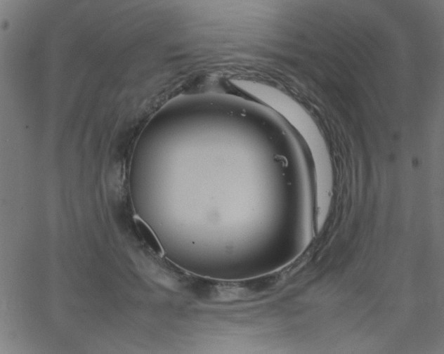 X0000067910605200604271919