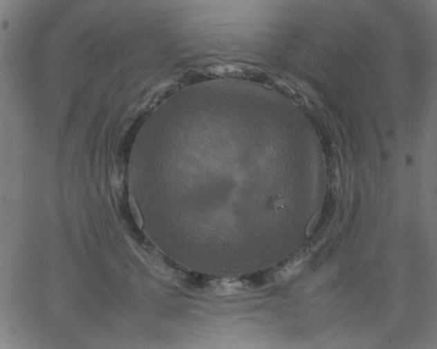 X0000067910607200604271919