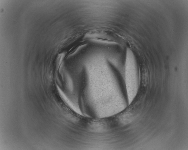 X0000067910608200604271919