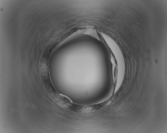 X0000067910609200604271919