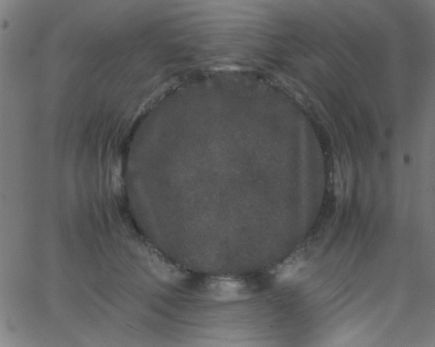 X0000067910610200604271919