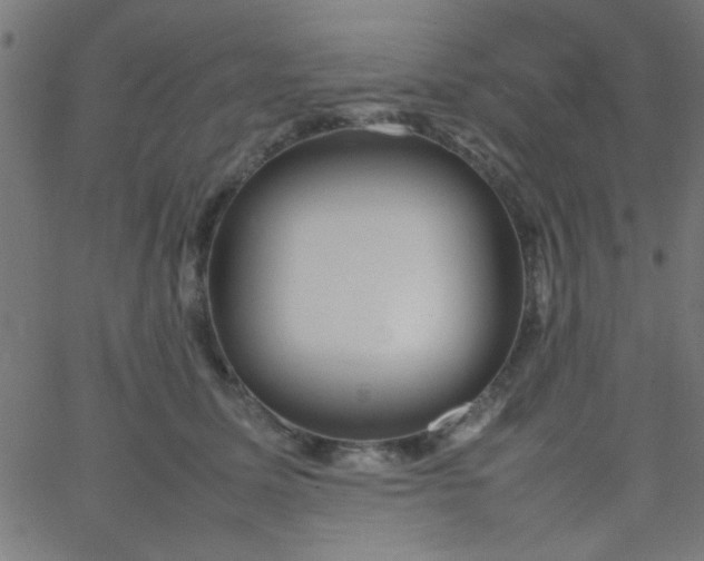 X0000067910611200604271919