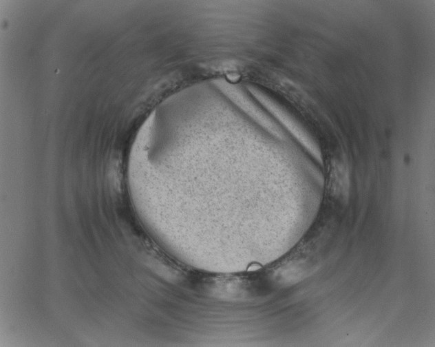 X0000067910612200604271919